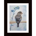 Perked And Perched Poster