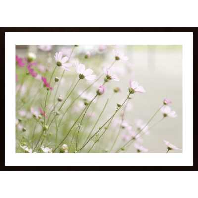 Pink Flowerbed Poster