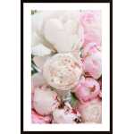 Pink Peonies Poster
