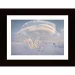 Planet Mur Poster