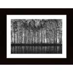 Pointillism Nature Poster