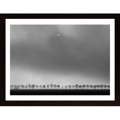 Polderlandscape Poster