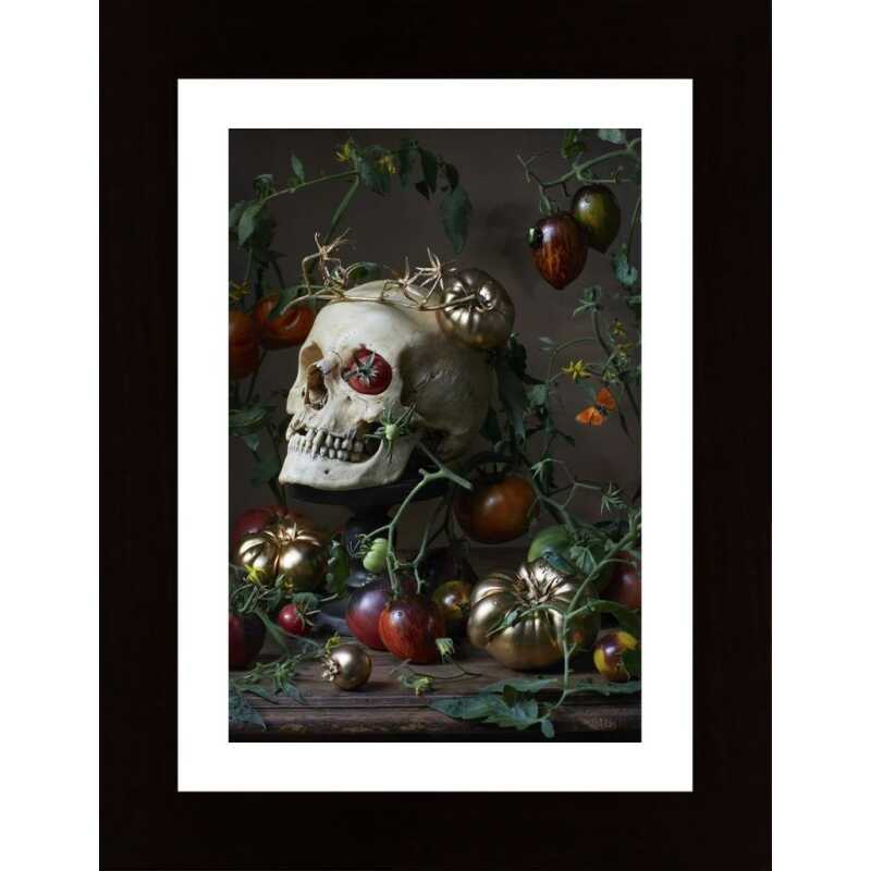 Pomo Doro Poster Pomo Doro Poster