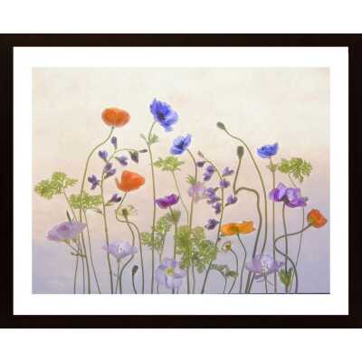 Poppy A Anemone Poster