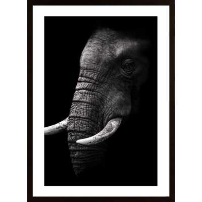 Portrait Poster