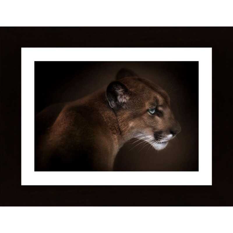 Puma Poster