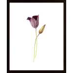 Purple Flower Poster