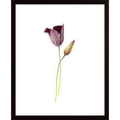 Purple Flower Poster