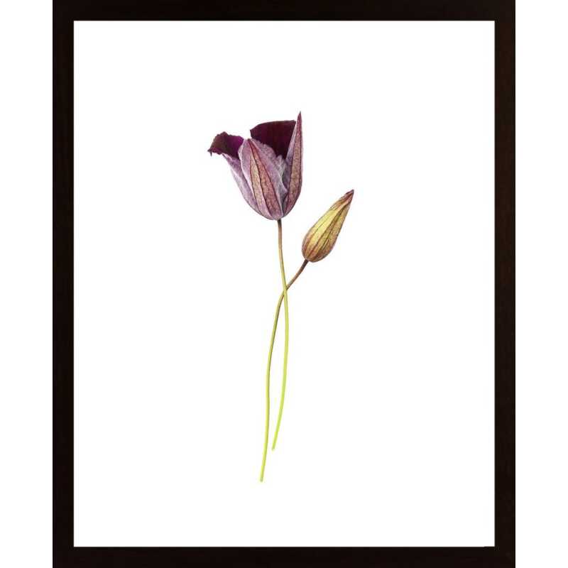 Purple Flower Poster