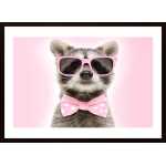 Raccoon With Pink Glasses Poster