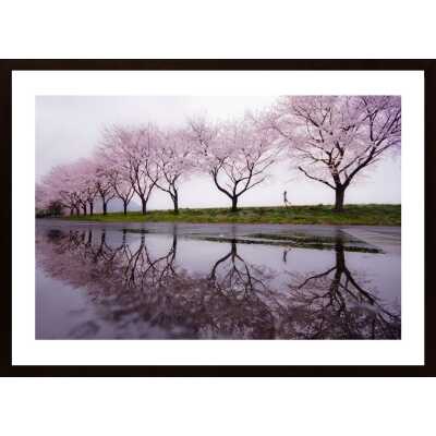 Rain Of Spring Poster