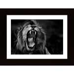 Roar Poster