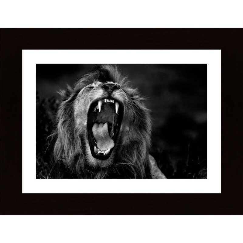 Roar Poster Roar Poster