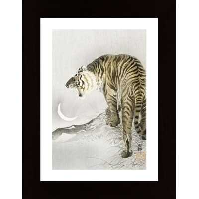 Roaring Tiger Poster