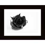 Rose Noir Poster