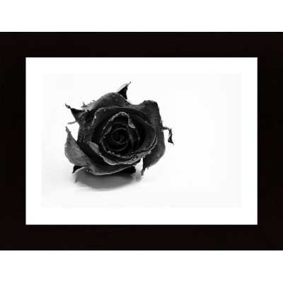 Rose Noir Poster