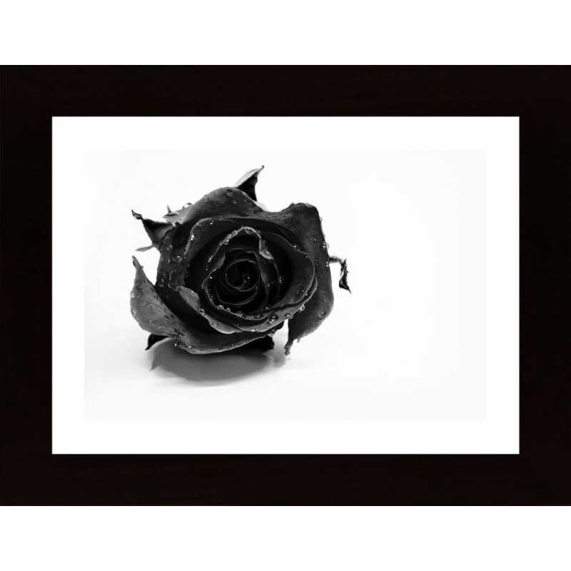 Rose Noir Poster