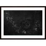 Rose Noire Poster