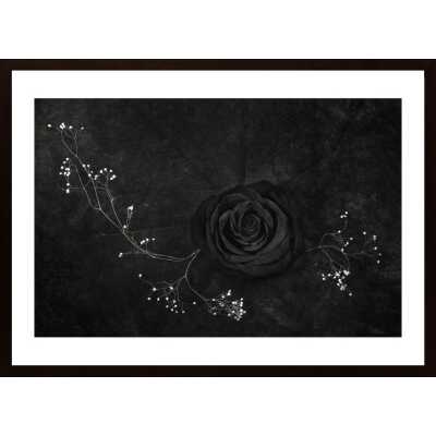 Rose Noire Poster