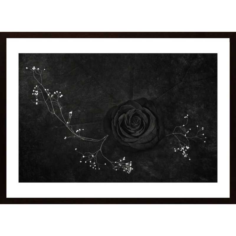 Rose Noire Poster