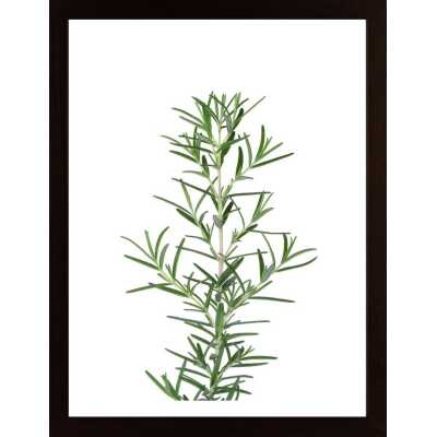 Rosemary Poster