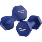 SONGMICS Set med 2 hantlar, 2 x 2,5 halkfria neoprenhantlar med matt yta, hemmaträning, fitnessträning, blå SYL6