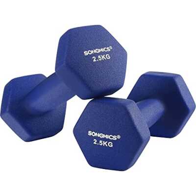 SONGMICS Set med 2 hantlar, 2 x 2,5 halkfria neoprenhantlar med matt yta, hemmaträning, fitnessträning, blå SYL6