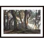 Sacred Pine Trees Poster