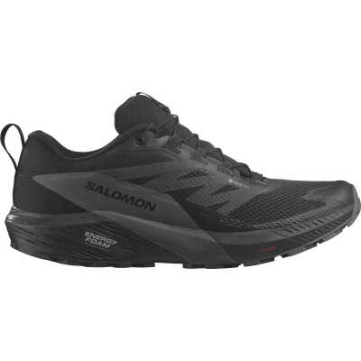 Salomon Men's Sense Ride 5 GORE-TEX Black/Magnet/Black