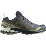 Salomon Men's XA 3D Pro V9 GORE-TEX India Ink/Olive Night/Aloe Wash