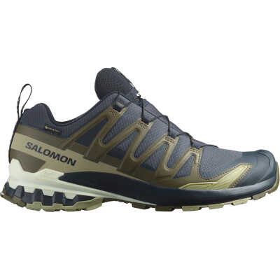 Salomon Men's XA 3D Pro V9 GORE-TEX India Ink/Olive Night/Aloe Wash