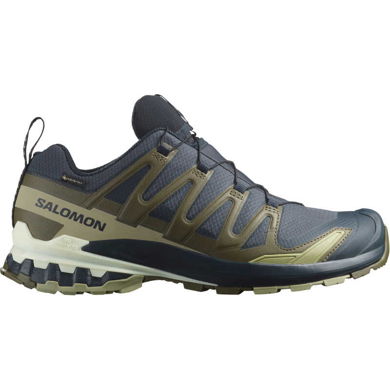 Salomon Men's XA 3D Pro V9 GORE-TEX India Ink/Olive Night/Aloe Wash