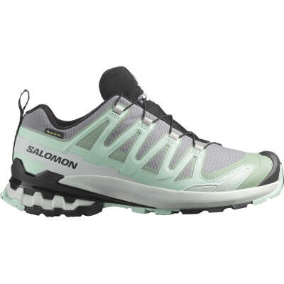 Salomon Women's XA Pro 3D V9 GORE-TEX Basic Grey