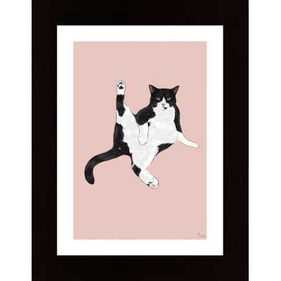 Sassy Cat Poster