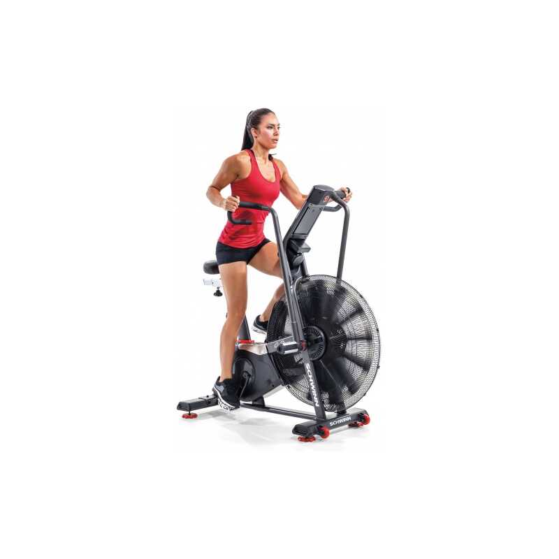 Schwinn Airdyne AD8 Schwinn Airdyne AD8