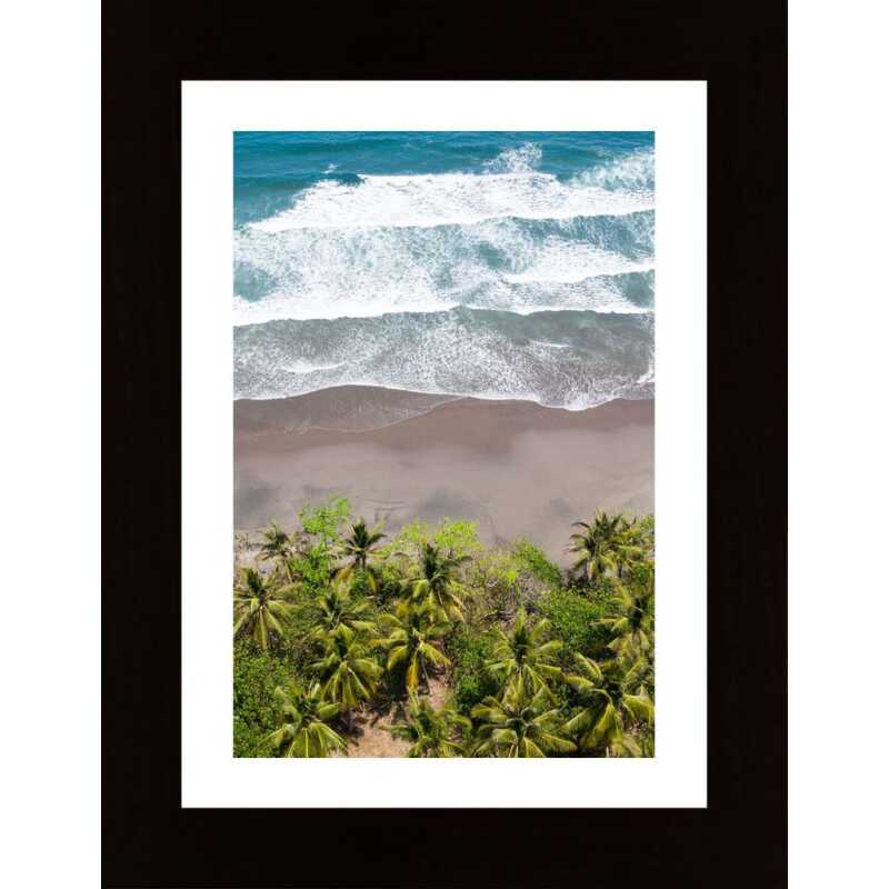 Sea Palm Trees And Beach Poster