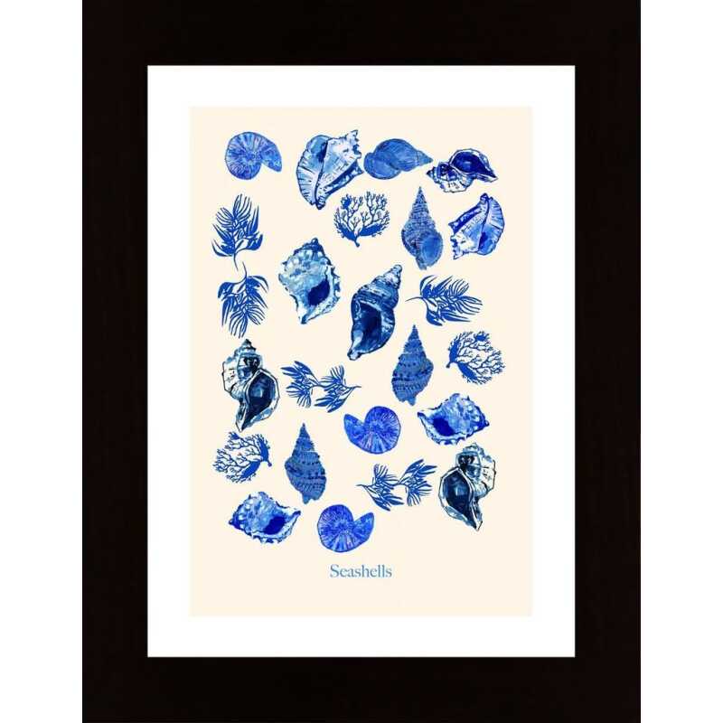 Seashells Poster Poster