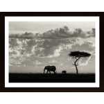 Silhouettes Of Mara Poster