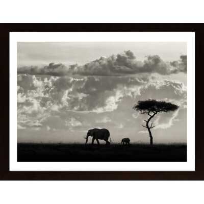 Silhouettes Of Mara Poster