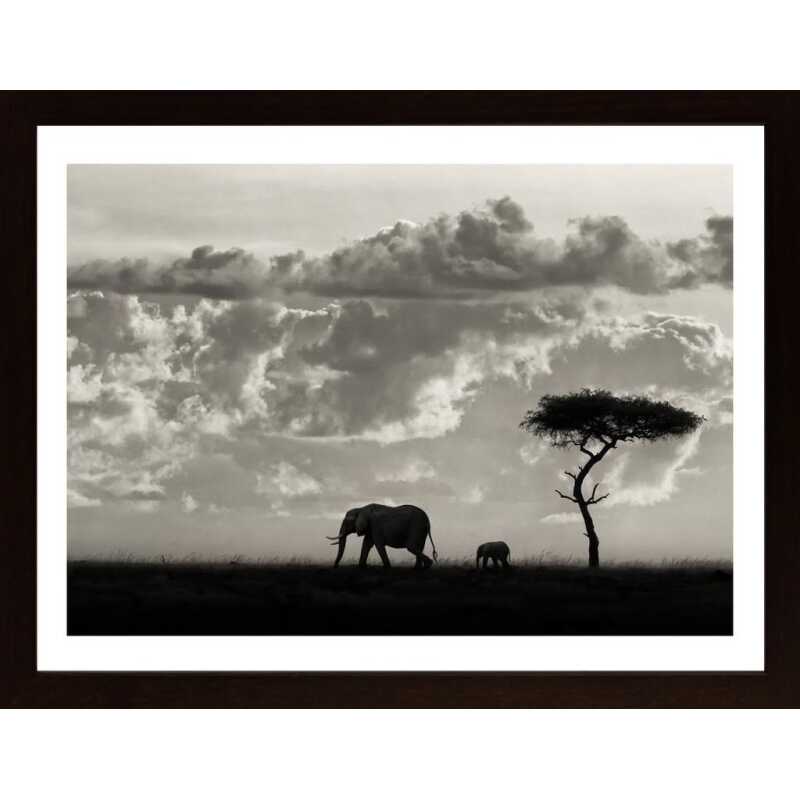 Silhouettes Of Mara Poster