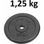 Skolvikt för 25 mm stång Master Fitness 1,25kg