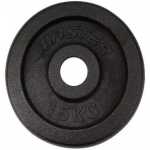 Skolvikt för 25 mm stång Master Fitness 15kg