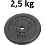 Skolvikt för 25 mm stång Master Fitness 2,5kg