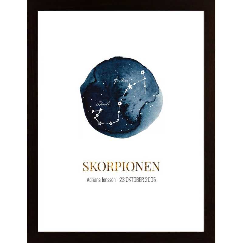 Skorpionen (Egen Text) Poster