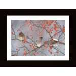 Snow Bird And Tree Poster