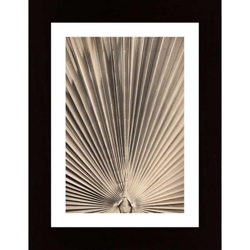 Solaris 07 Poster