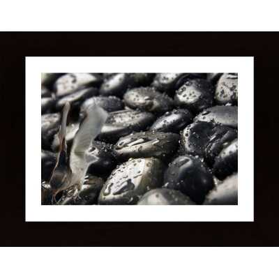 Sparrow And Stones Poster