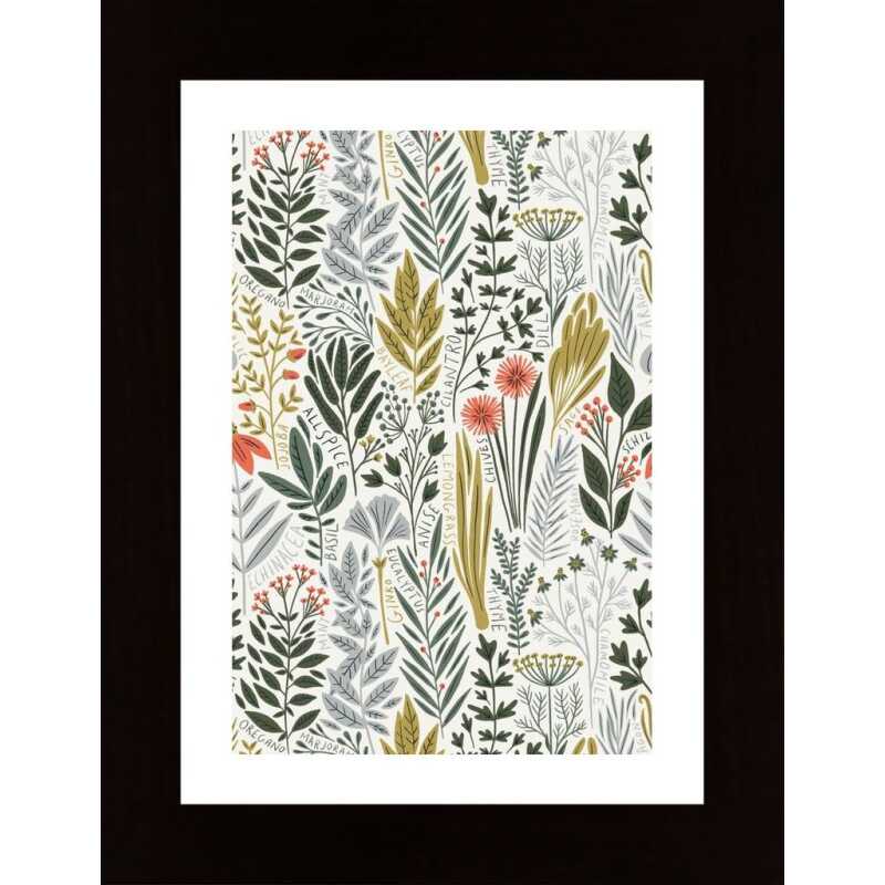 Spicy Spices Poster Spicy Spices Poster