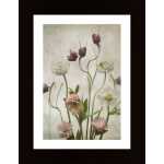 Spring Garden Poster