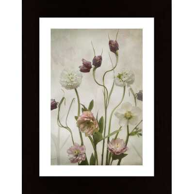 Spring Garden Poster